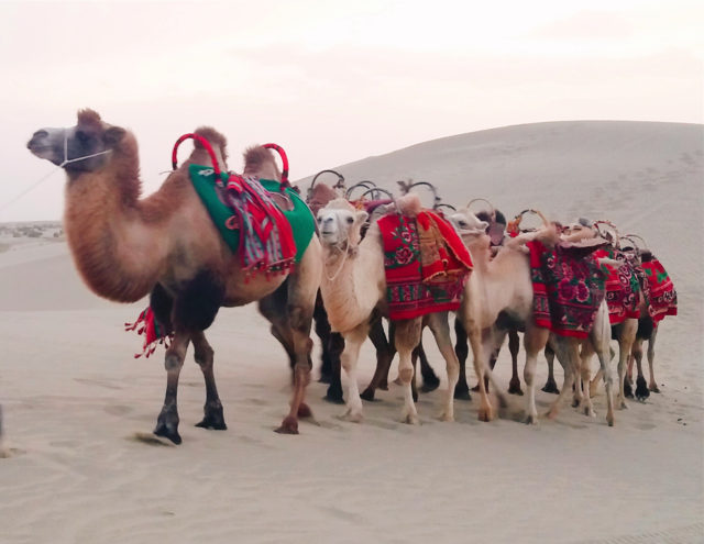 Taklamakan desert trekking tour