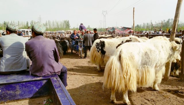 kashgar tour