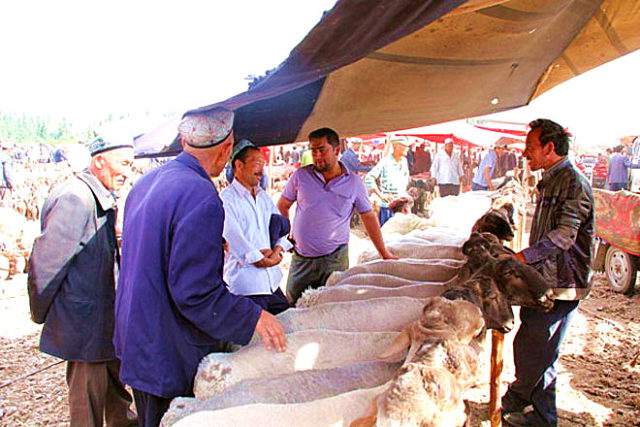 kashgar travel
