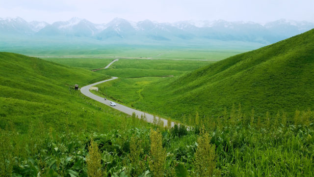 grassland tour
