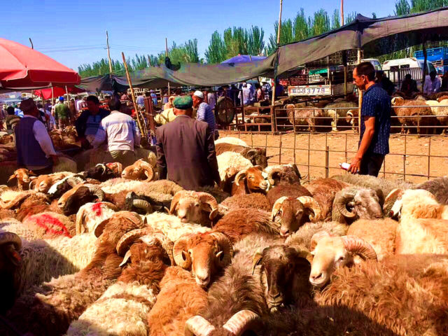 kashgar travel