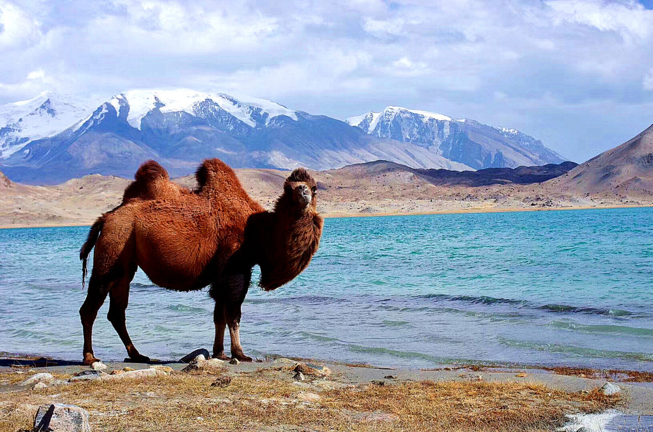 Xinjiang tours