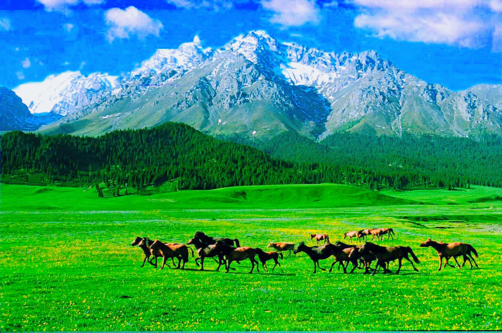 urumqi travel