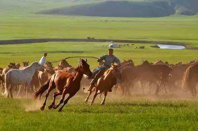 Travel to Inner Mongolia
