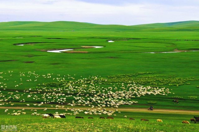 Travel to Inner Mongolia