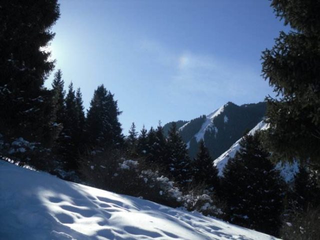 Xinjiang ski tours