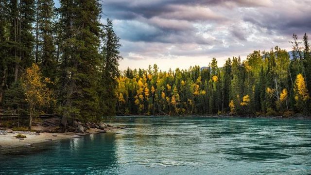 Altay travel