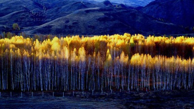 Altay tours