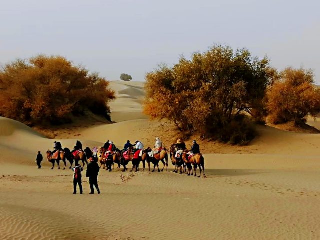 Taklamakan Desert Trekking Tours