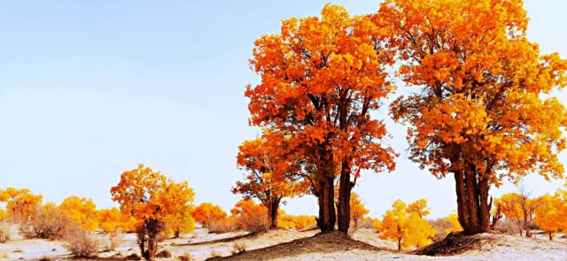 Taklamakan Desert Trekking Tours