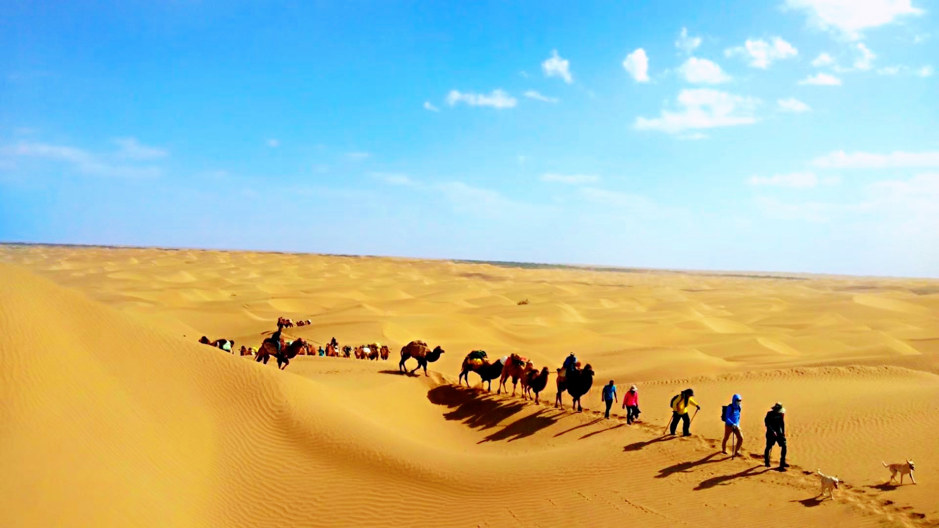 Taklamakan Desert Trekking Tours