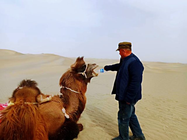 Taklamakan Desert Trekking Tours
