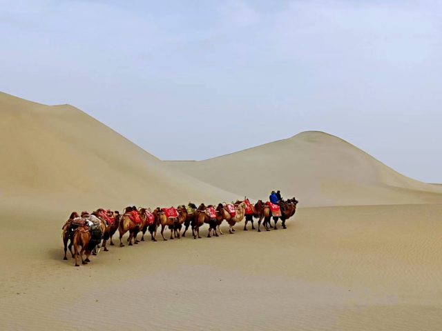 Taklamakan Desert Trekking Tours