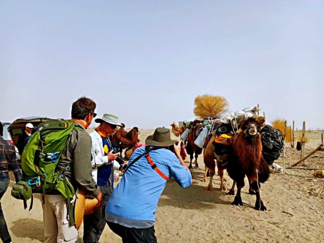 Taklamakan Desert Trekking Tours