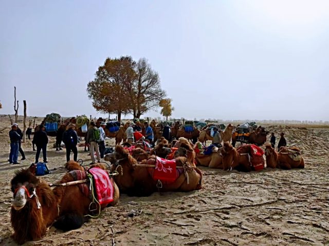 Taklamakan Desert Trekking Tours
