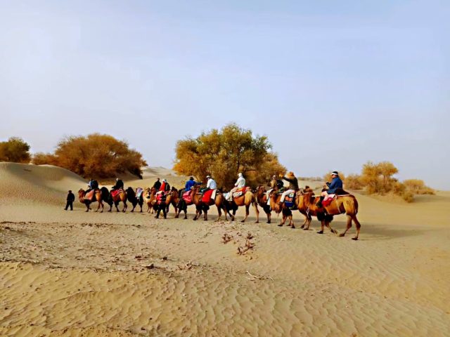 Taklamakan Desert Trekking Tours