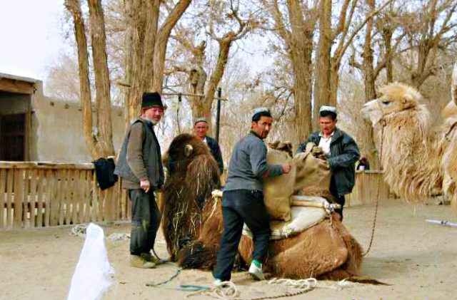 Taklamakan Desert Trekking Tours